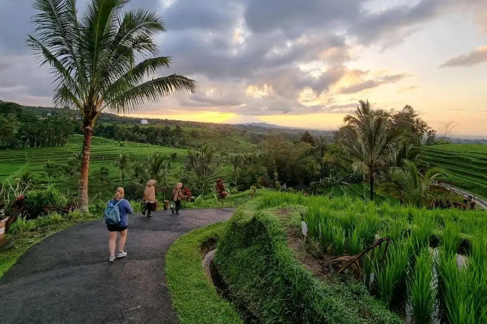 UNESCO-heritage-Subak-irrigation-system-Jatiluwih-Bali-regenerative-travel-design